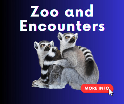Zoo &amp; Encounters