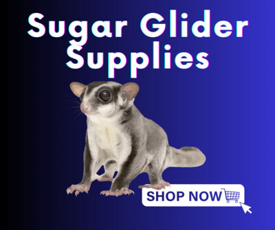 Sugar Glider supplies