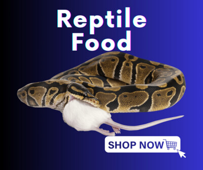 Reptile Food