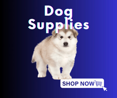 Dog supplies