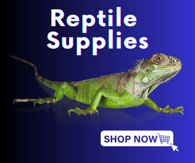 Reptile supplies