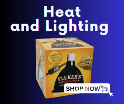Heating, UVB &amp; Fixtures