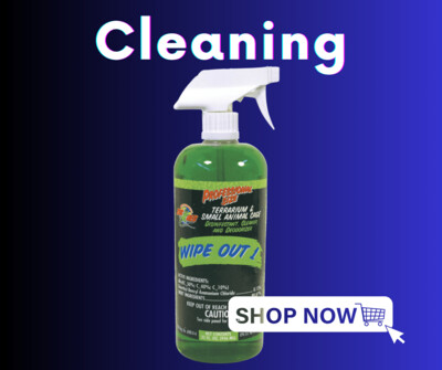 Cleaning
