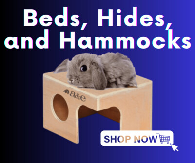 Bed, Hides, and Hammocks