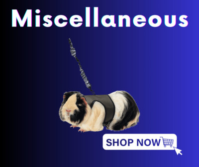 Miscellaneous