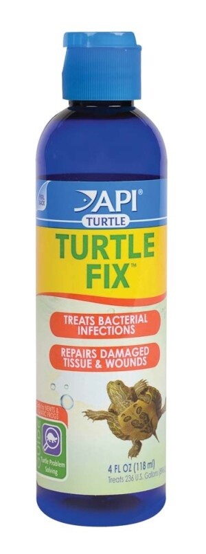 turtle fix