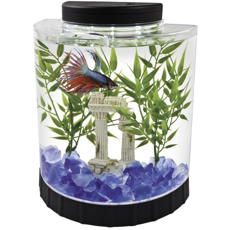 Tetra LED Half Moon Betta Kit Clear, 1ea/1 gal