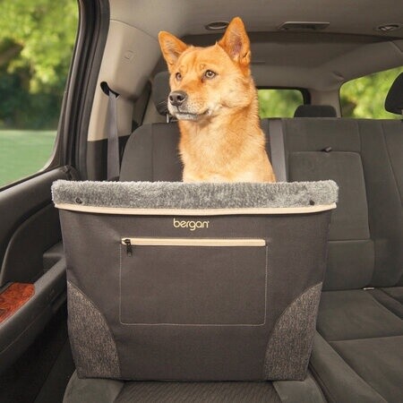 Coastal Bergan Booster Carrier / Car Seat