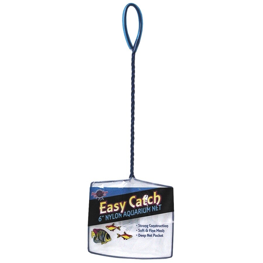 Blue Ribbon Pet Products Easy Catch Net Fine Mesh, Blue/White, 12ea/6 in