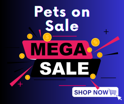 Pets On Sale