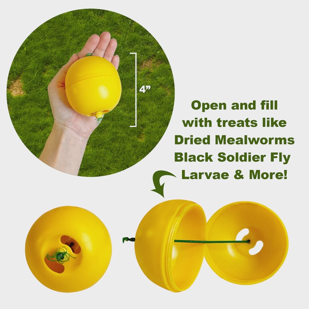 Chicken Treat Dispenser