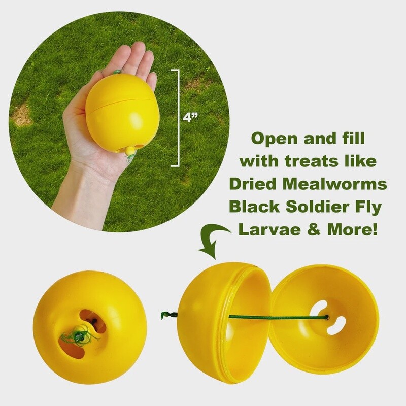 Chicken Treat Dispenser