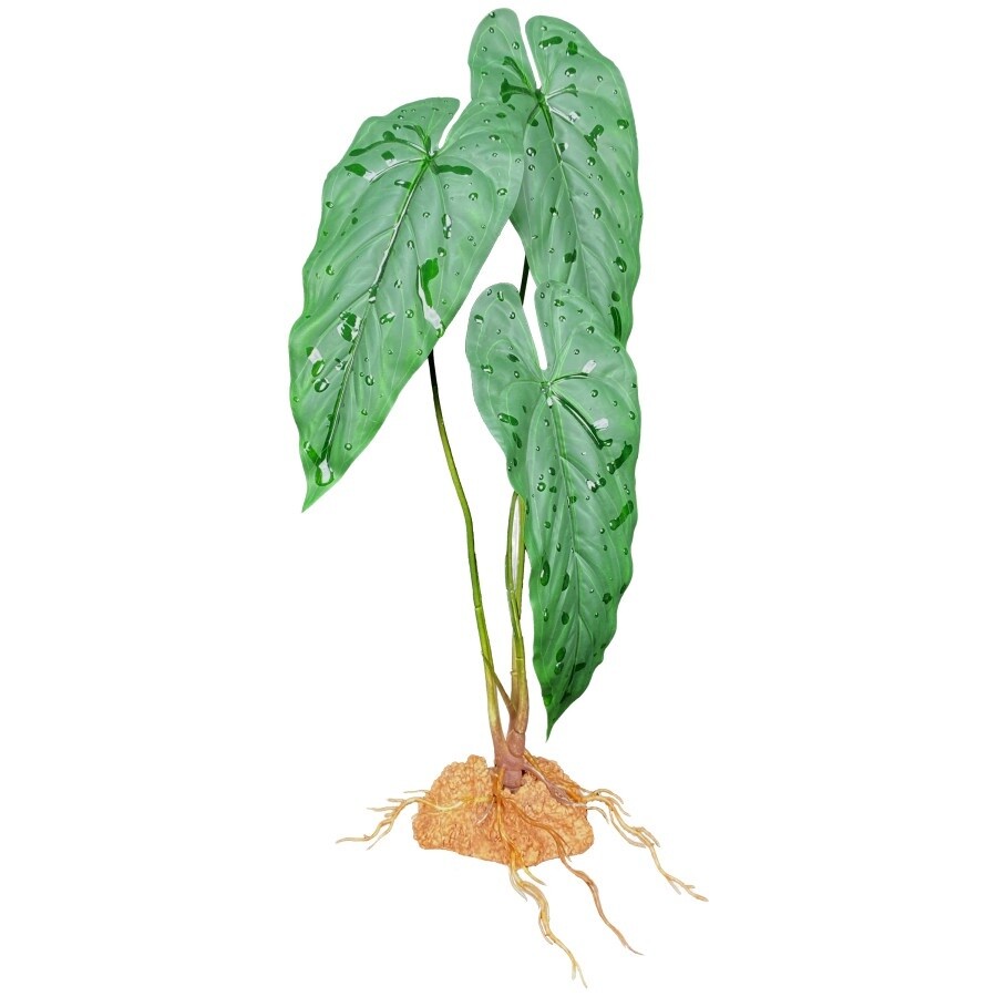Komodo Standing Plant Emerald Vine, 1ea/18 in