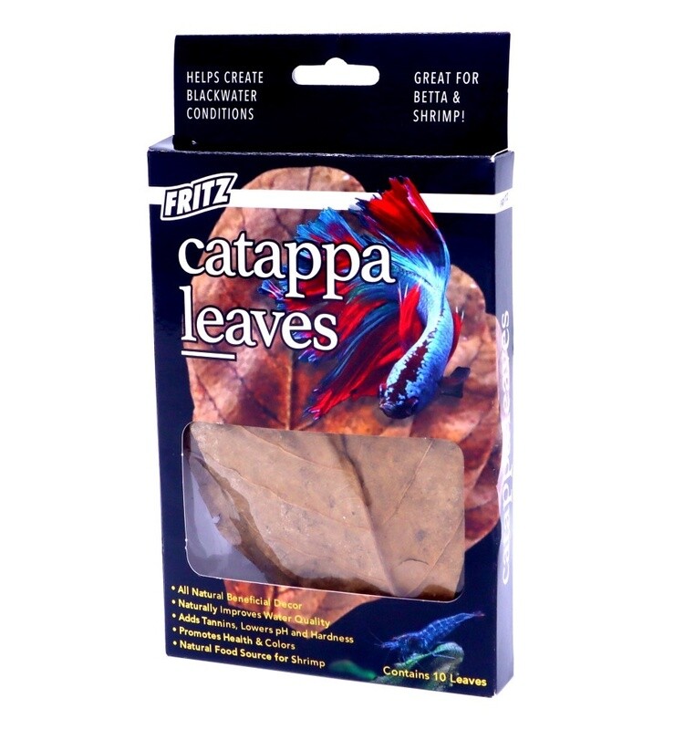 Catappa leave