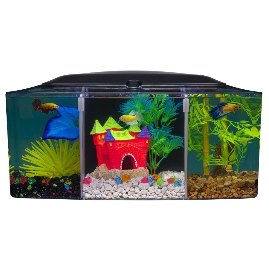 GloFish Betta Trilogy Aquarium 1ea/3 gal