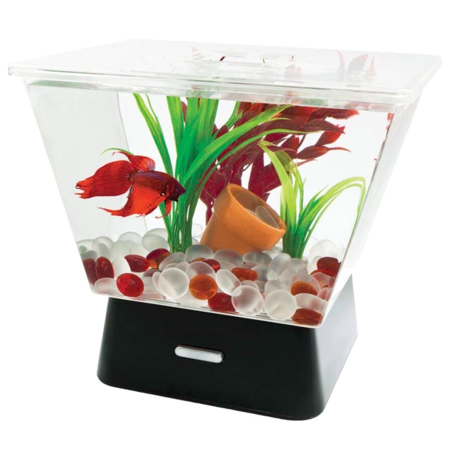 Tetra LED Trapezoid Betta Tank Clear, 1ea/1 gal