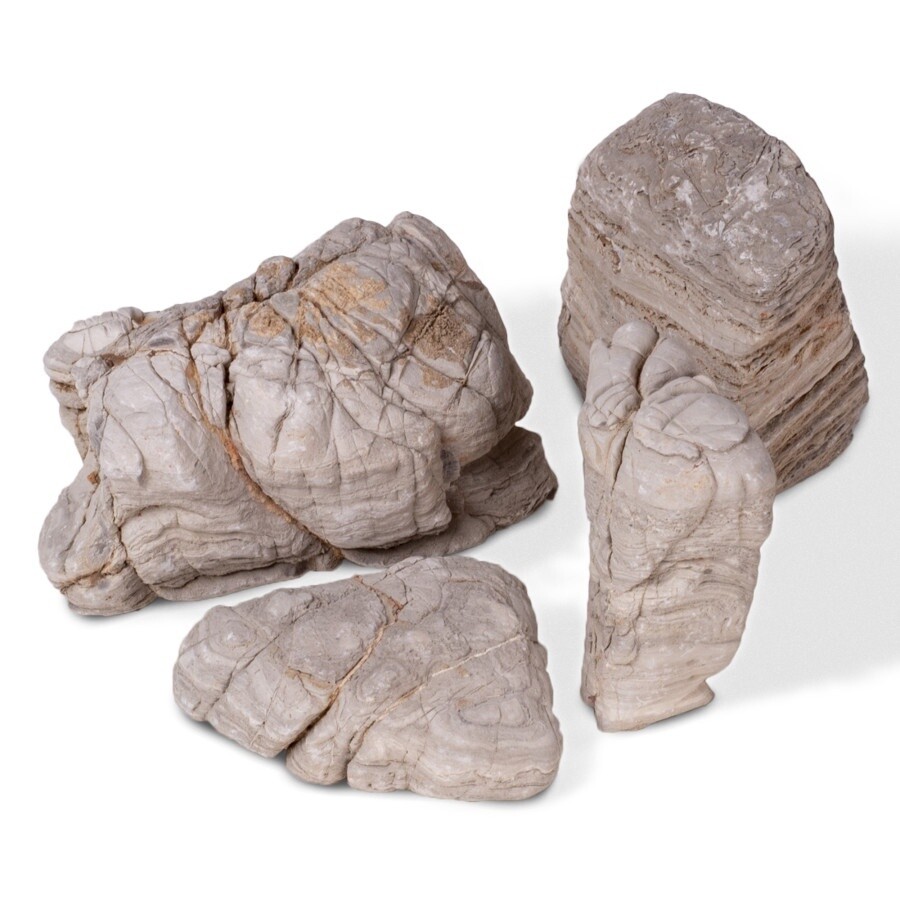 Elephant Rock / pound