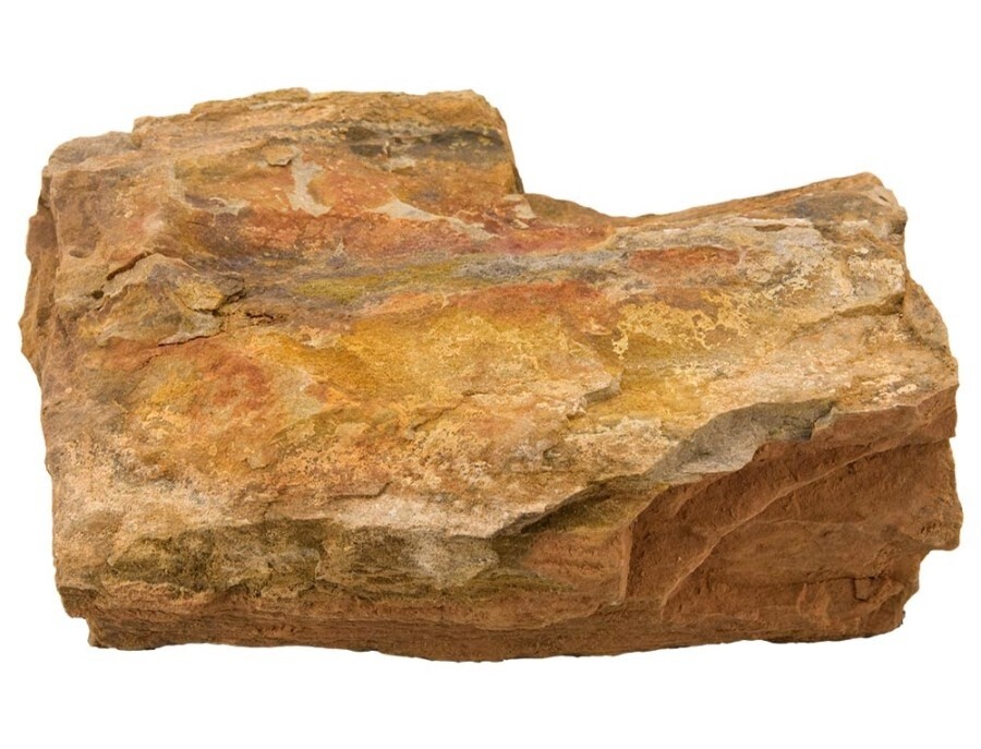 Petrified Wood / pound
