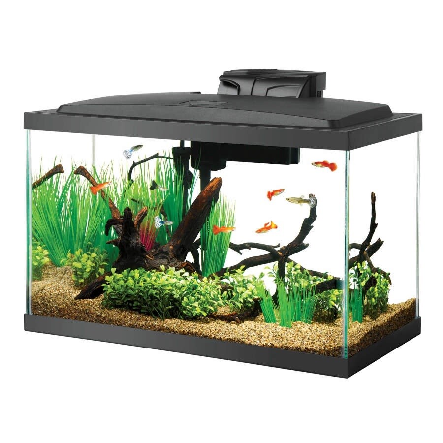 Aqueon Pre-Priced LED Aquarium Kit 1ea/10