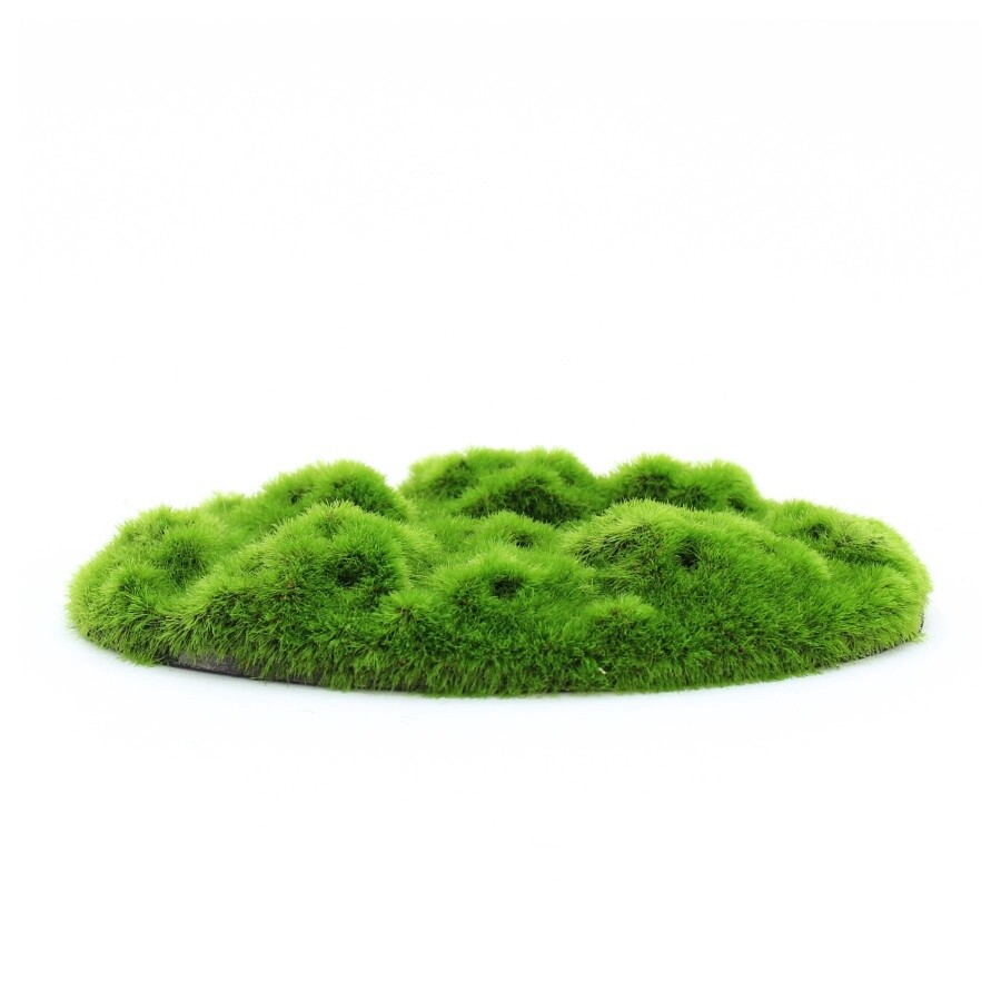 Penn-Plax Aqua-Flora Living Moss Patch Aquarium Ornament