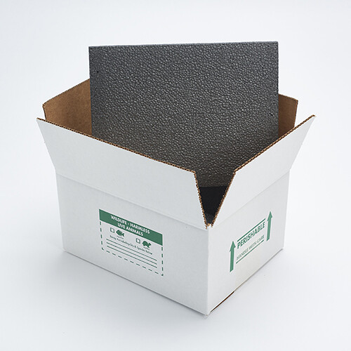Reptile Shipping, large