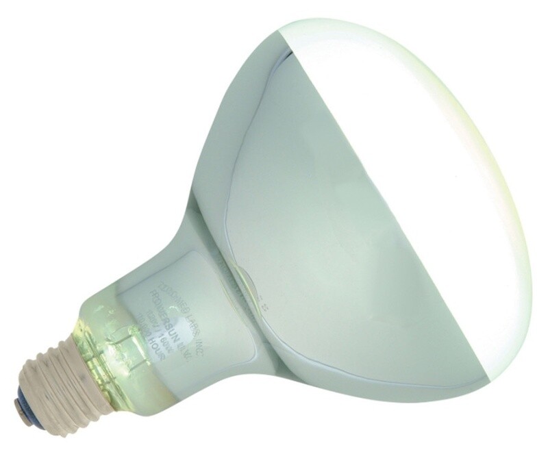 Zoo Med PowerSun UV Self-Ballasted Mercury Vapor Lamp Silver, 1ea/160 W