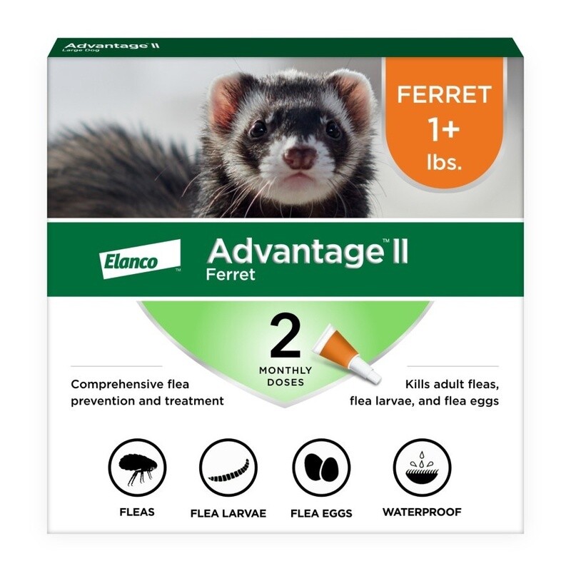 Elanco Advantage II Topical Flea Treatment &amp; Prevention for Ferrets 2-Month Supply, 1ea/One Size