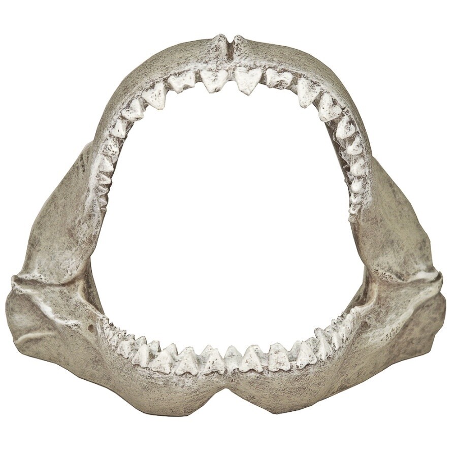 Blue Ribbon Pet Products Exotic Environments Great White Shark Jaws Aquarium Ornament White, 1ea/5.5 in, SM