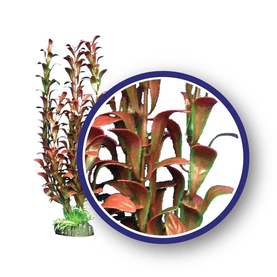 Weco Products Freshwater Series Hygrophilia Aquarium Plant Red, 1ea/12 in