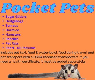 Pocket Pets, Transport