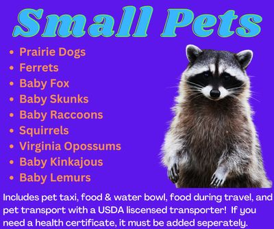 Small Animal Transport