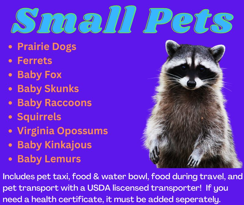 Small Animal Transport