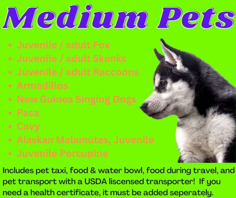 Medium Pet Transport