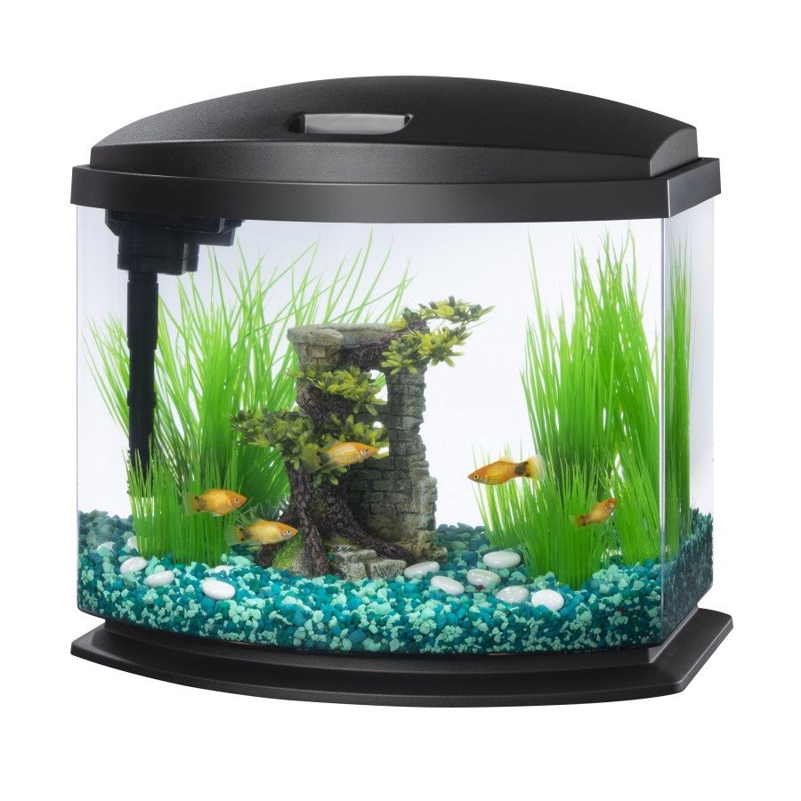 Aqueon LED MiniBow™ Kit with SmartClean™ Technology Black, 1ea/5 gal