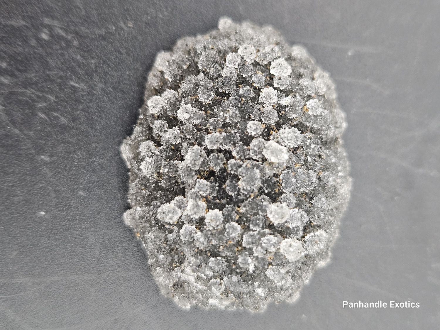 Crystal Flowers