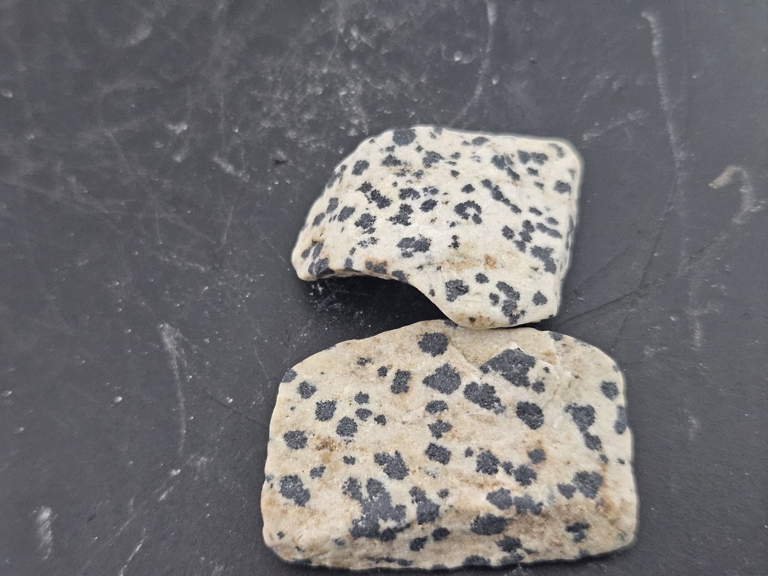 Dalmatian Jasper, 2 pieces