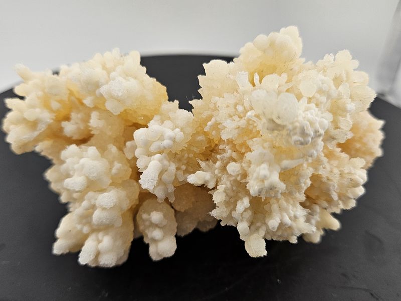 Aragonite Flower #2