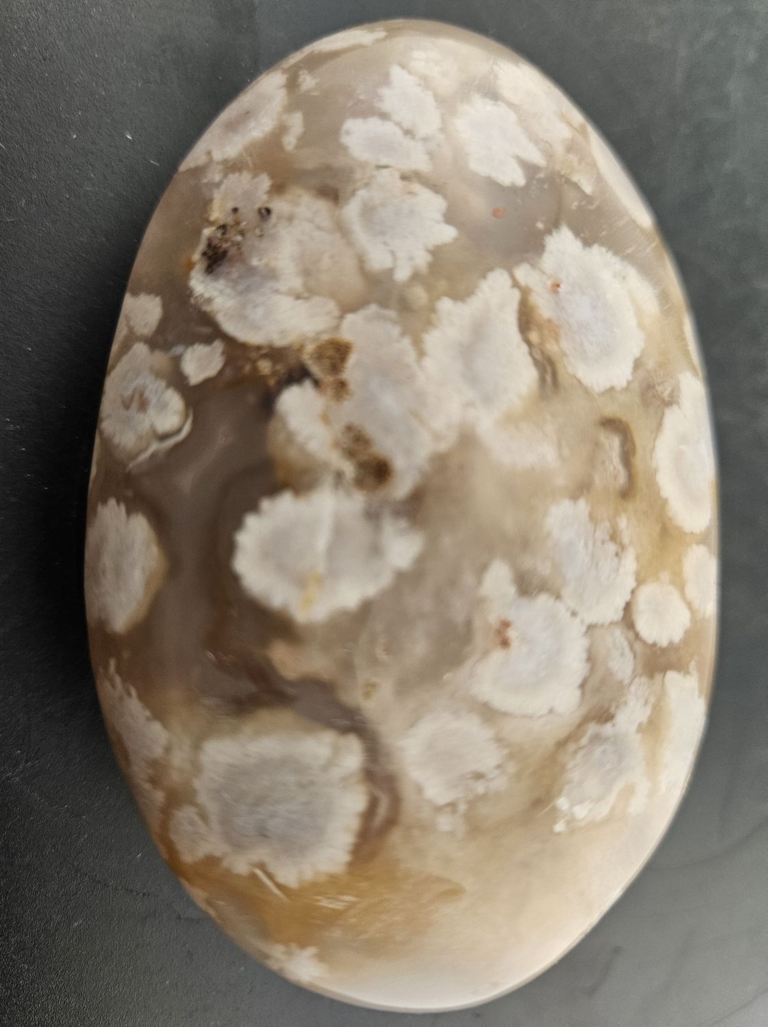 Flower Agate, polished
