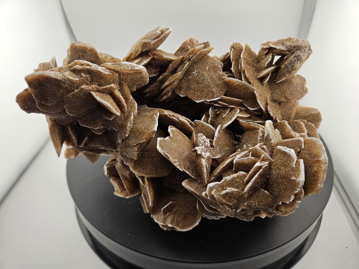 Desert Rose, Museum quality!