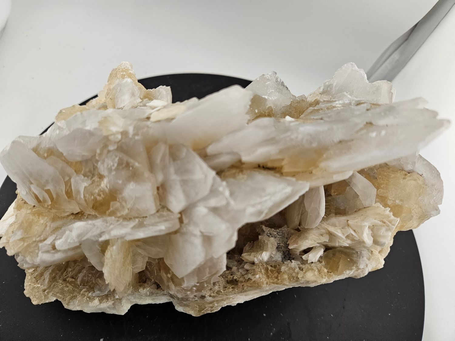 Large Blade Calcite.  Amazing piece!
