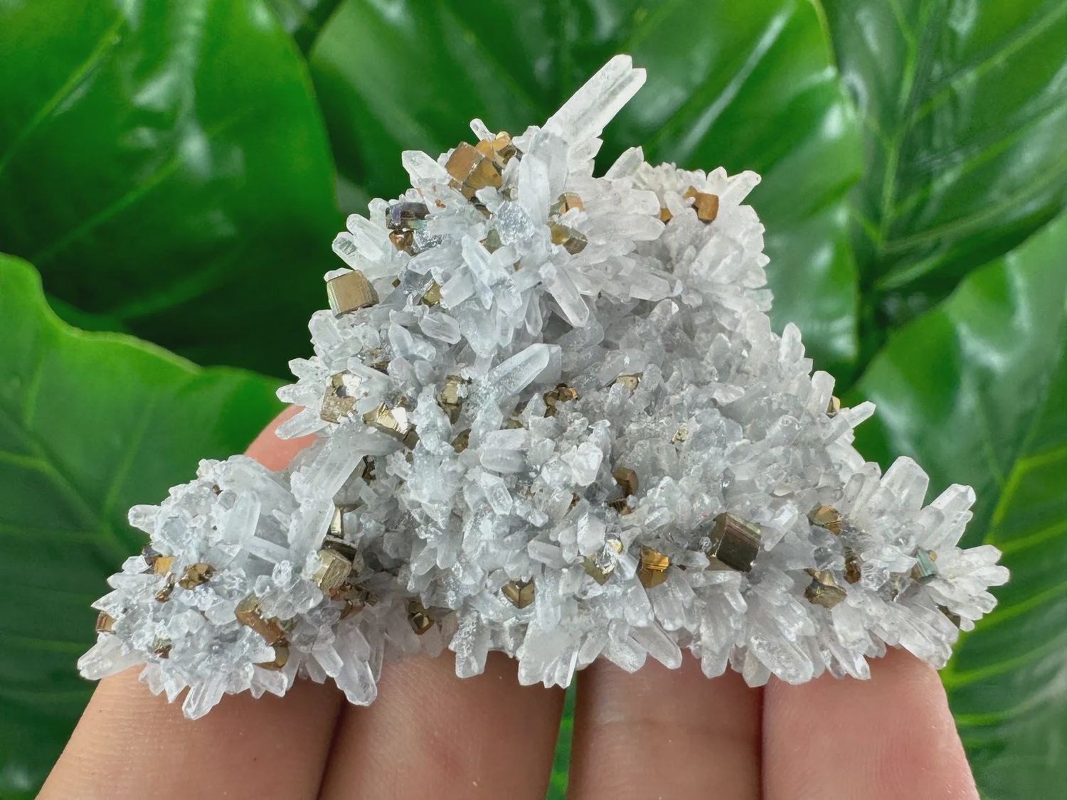 Quartz w/Pyrite #4