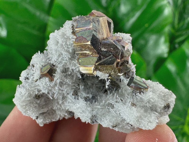 Pyrite w/Quartz #2