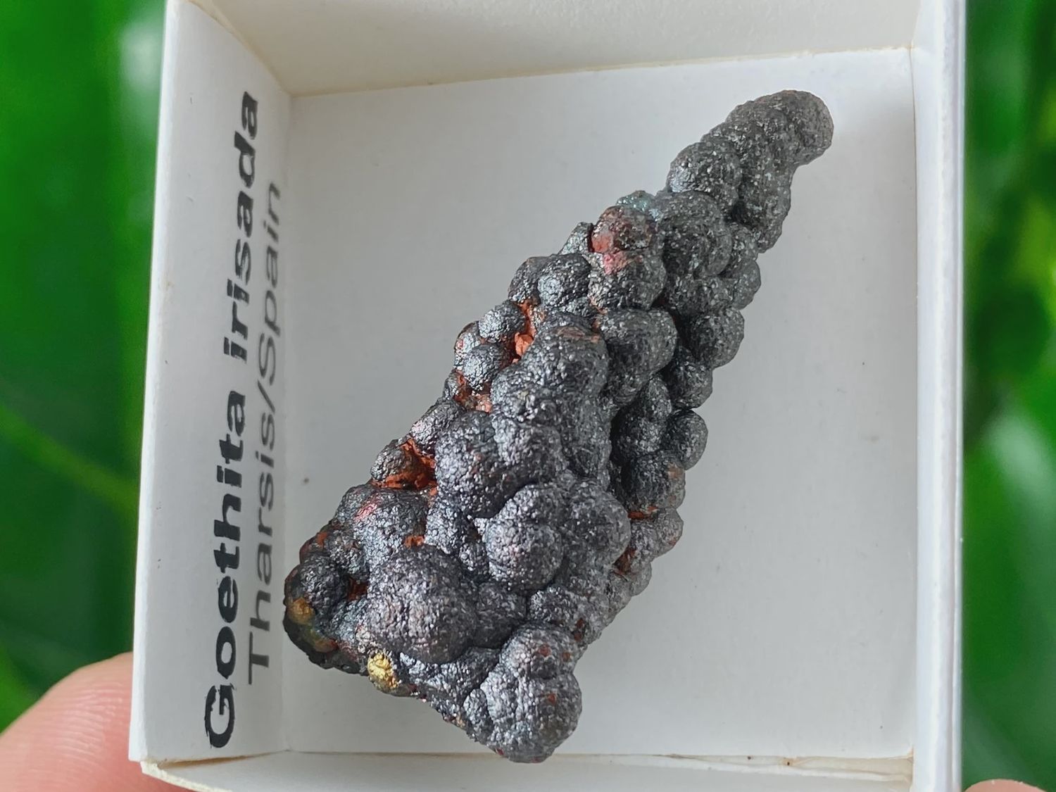 Goethita Irisada #1