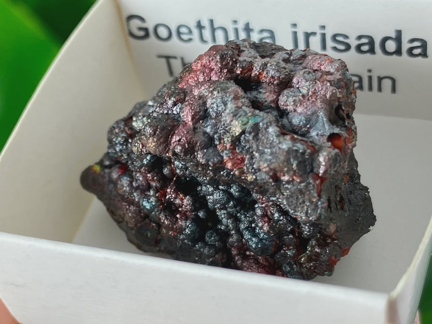 Goethita Irisada
