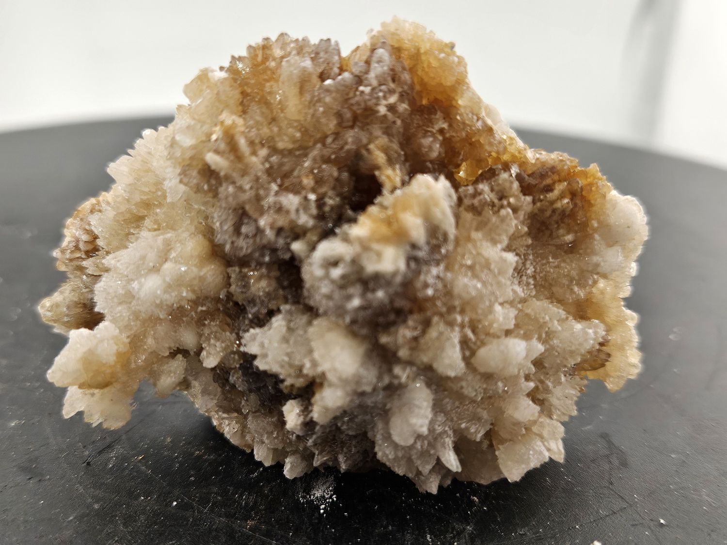 Creedite #3