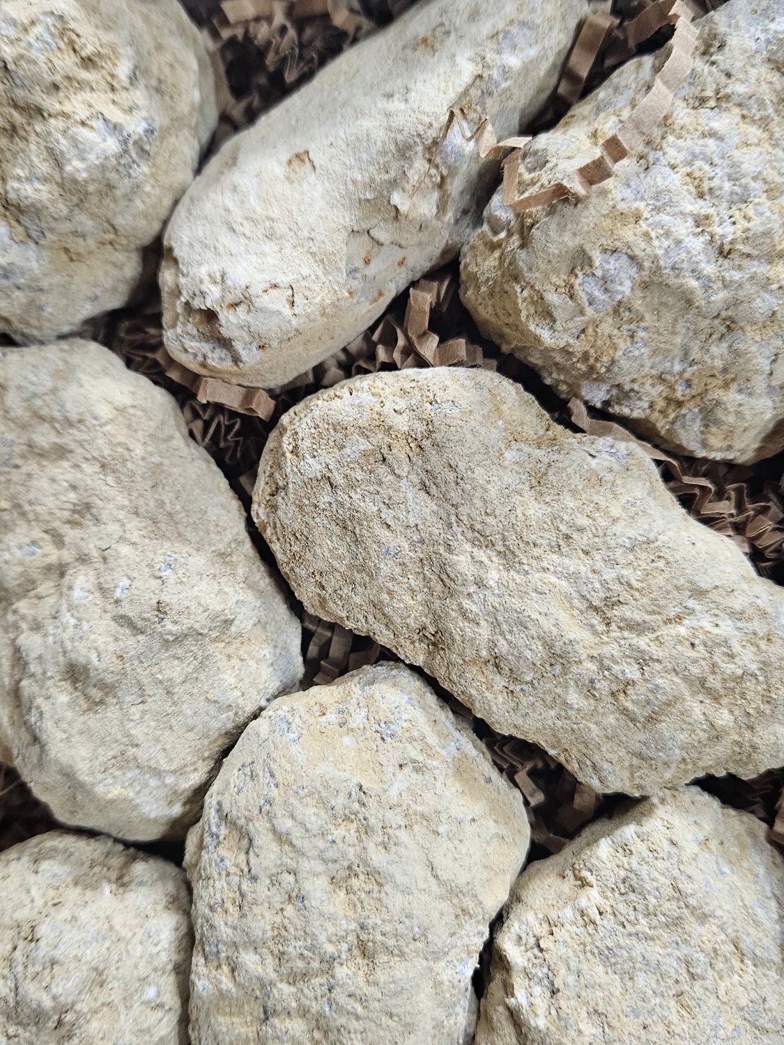 Geode, unopened.  Large