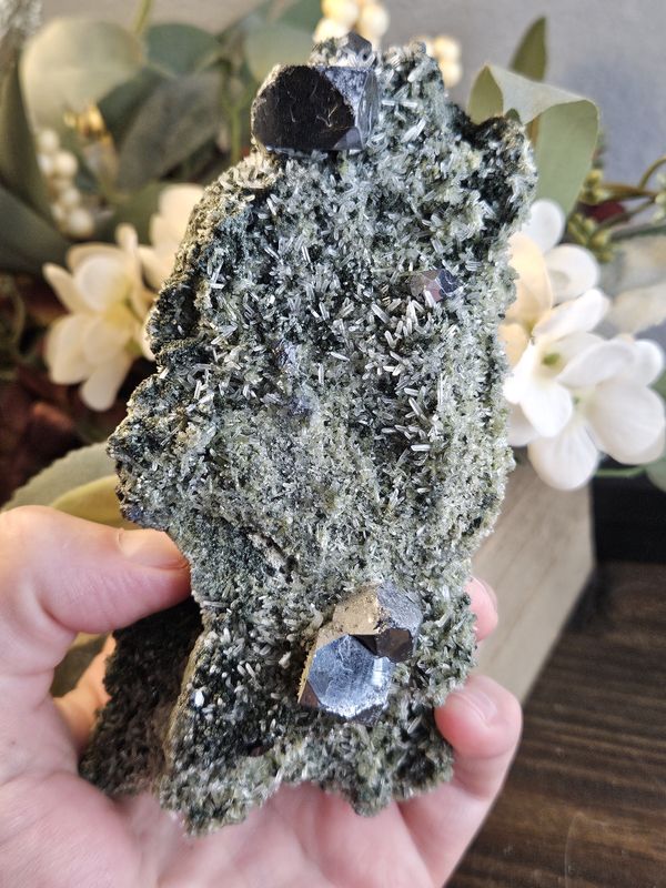 Large Galena on Quartz w/Epidote
