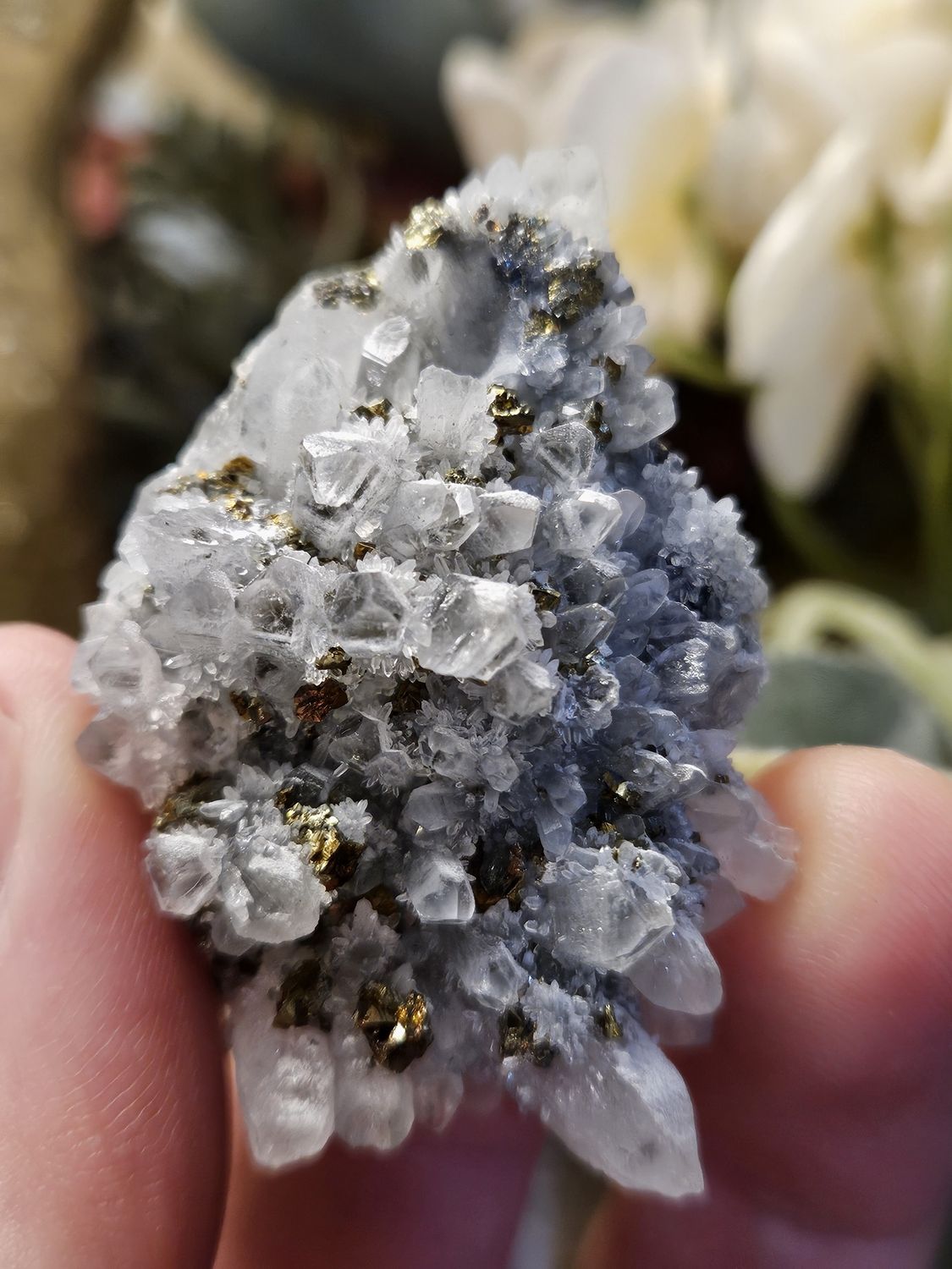 Quartz w/Chalcopyrite.  Beautiful!