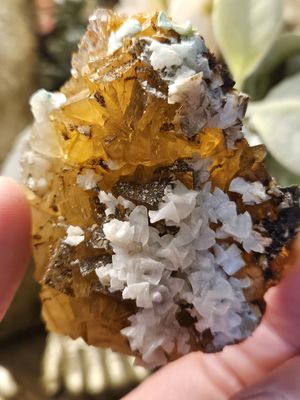 Yellow Fluorite w/Calcite #2