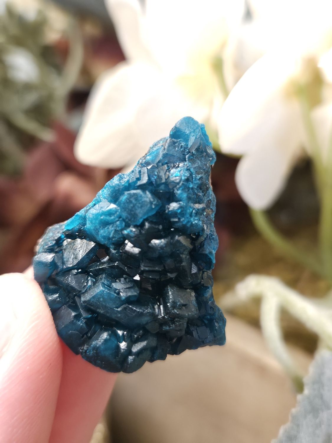 Dioptase.  Small but stunning!